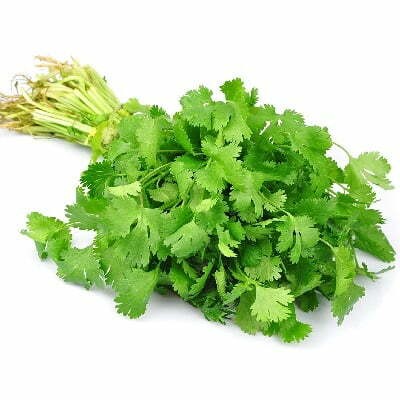 ধনে পাতা