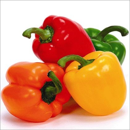 ক্যাপসিকাম